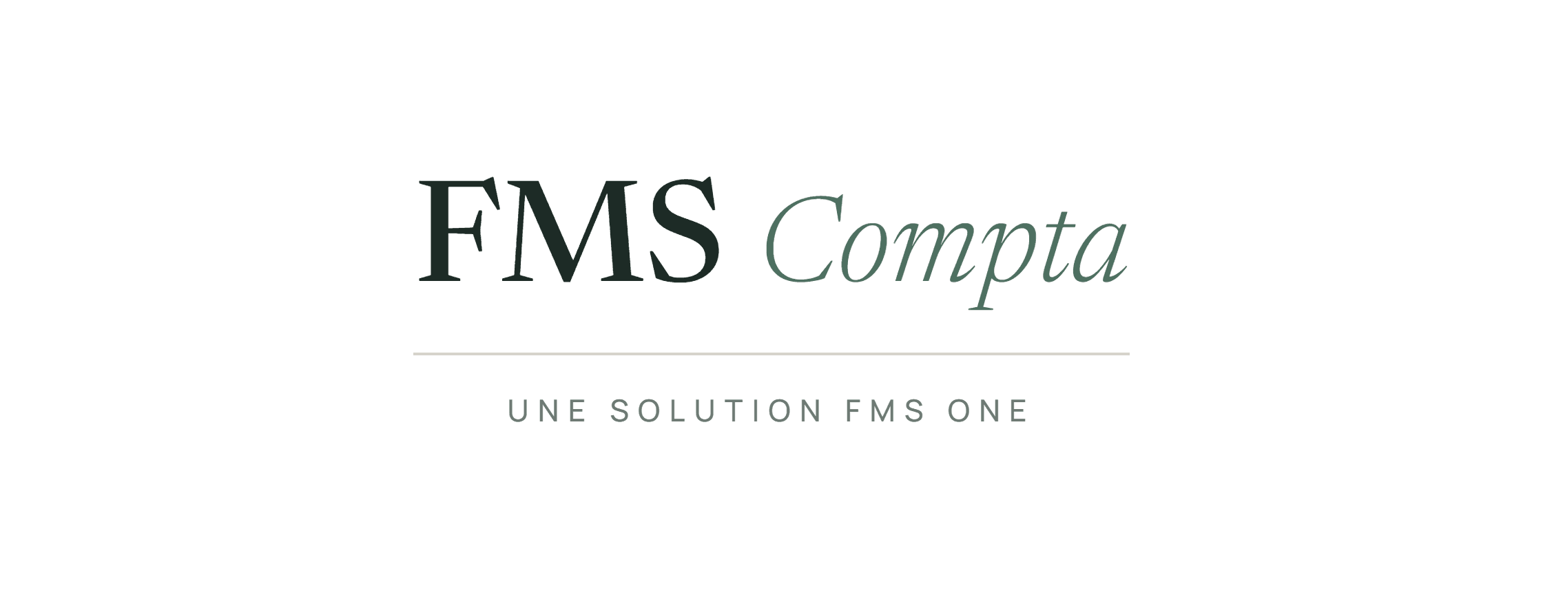Logo FMS Compta